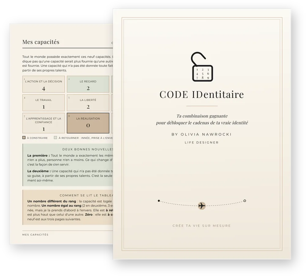 Code IDentitaire